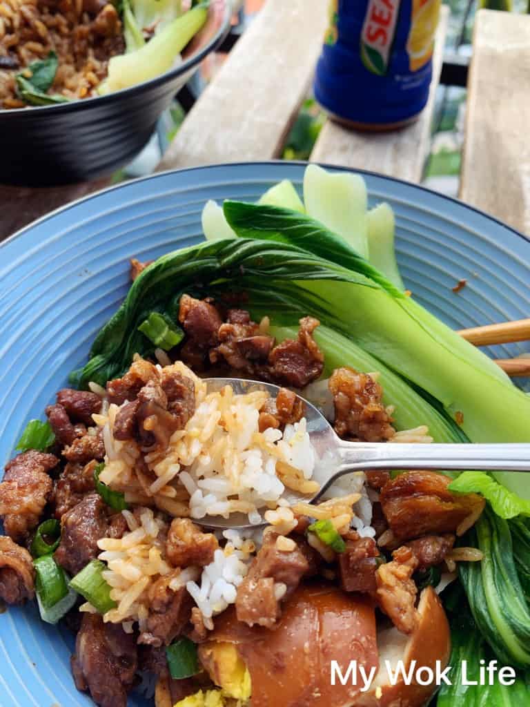 My Wok Life Cooking Blog - Taiwanese Lu Rou Rice (台式卤肉饭) - Lu Rou Rice