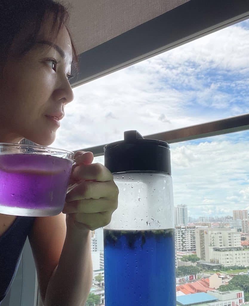 My Wok Life Cooking Blog - Cold Brew Butterfly Pea Tea (Great Blue Pea Water) 冷泡蝶豆花茶  - Cold Brew Butterfly Pea Tea